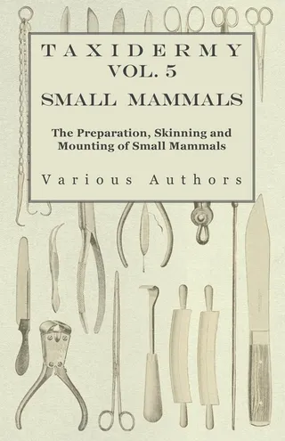Taxidermy Vol. 5 Small Mammals