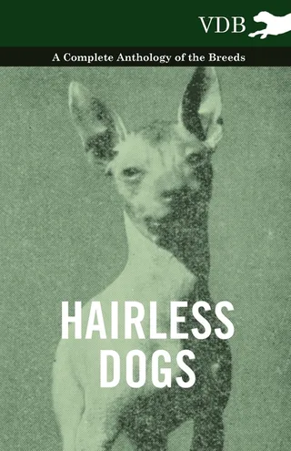Hairless Dogs