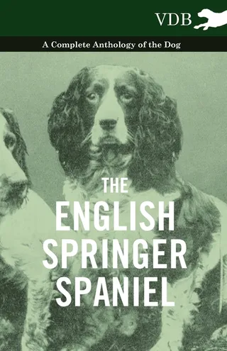 The English Springer Spaniel