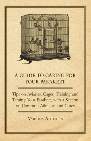 A Guide to Caring for Your Parakeet