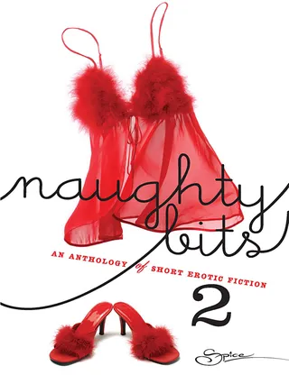 Naughty Bits 2