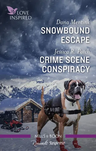 Snowbound Escape / Crime Scene Conspiracy
