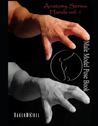 Anatomy
