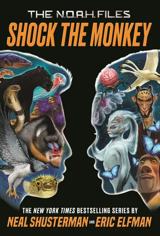 Shock the Monkey
