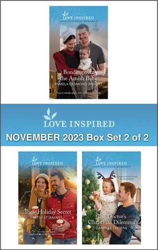 Love Inspired November 2023 Box Set