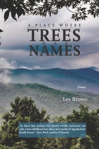 A Place Where Trees Had Names