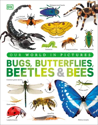 Bugs, Butterflies, Beetles and Bees