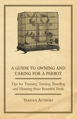 A Guide to Owning and Caring for a Parrot