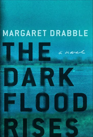 Dark Flood Rises