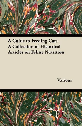 A Guide to Feeding Cats