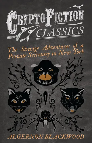The Strange Adventures of a Private Secretary in New York