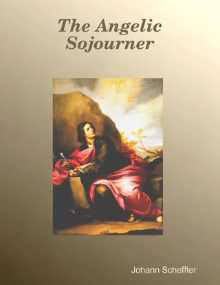 Angelic Sojourner