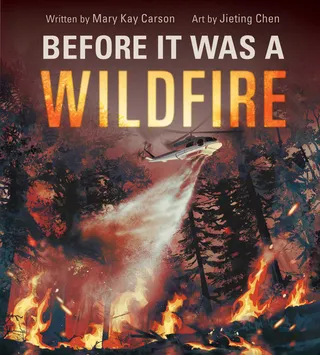 Before It Was a Wildfire