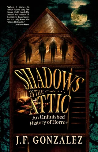 Shadows in the Attic