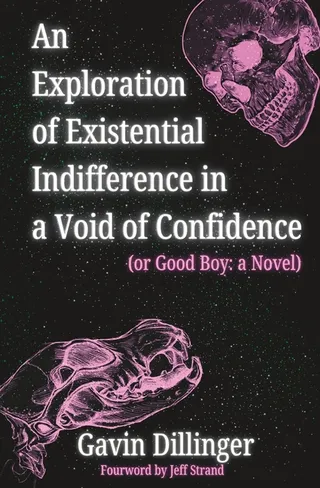 An Exploration of Existential Indifference in a Void of Confidence