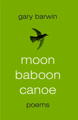 Moon Baboon Canoe