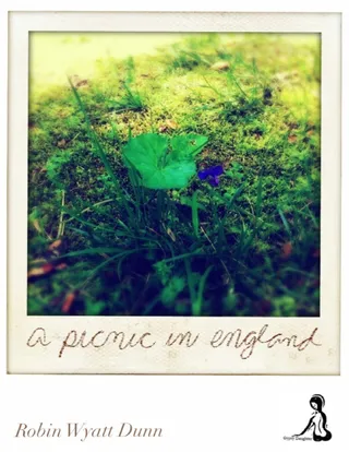 Picnic In England