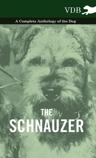 The Schnauzer