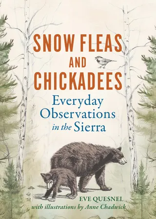 Snow Fleas and Chickadees