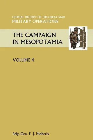 The Campaign in Mesopotamia