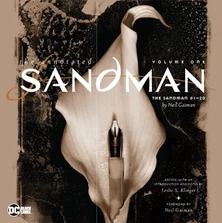 Annotated Sandman Vol. 1 2022