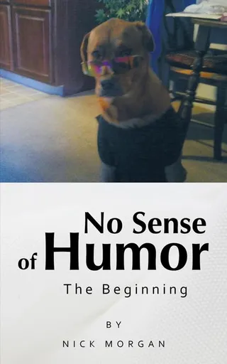 No Sense of Humor