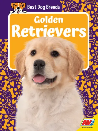 Golden Retrievers
