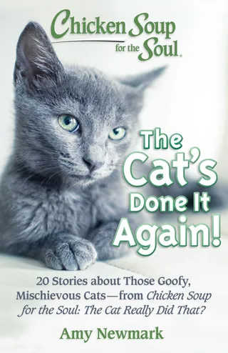 The Cat's Done It Again!