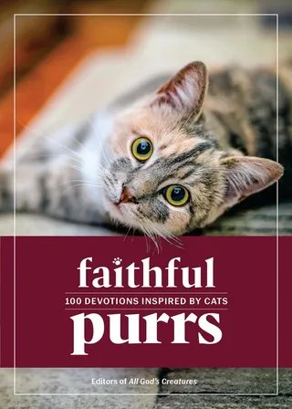 Faithful Purrs