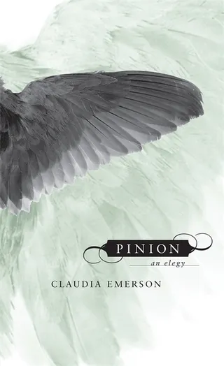 Pinion