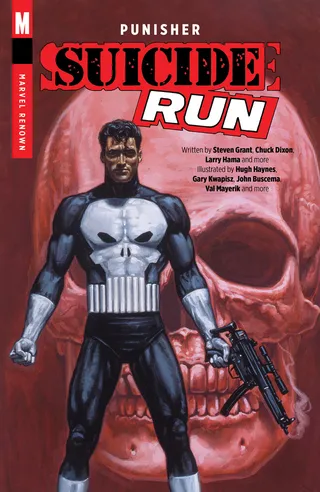 Punisher: Suicide Run