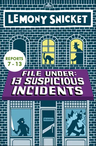 13 Suspicious Incidents