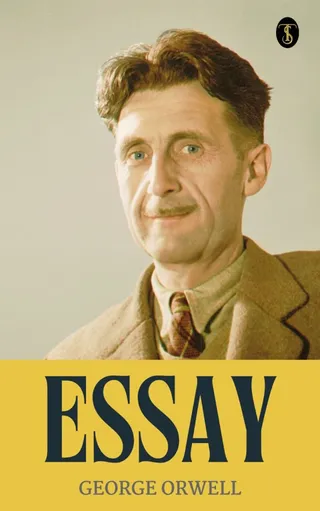 Essay