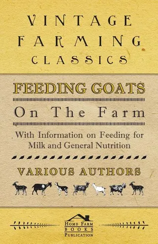 Feeding Goats on the Farm