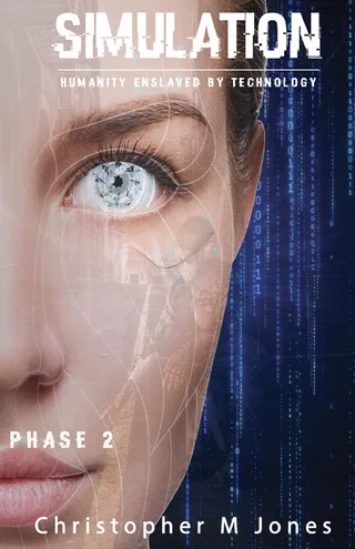Simulation