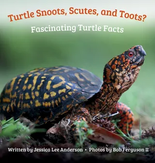Turtle Snoots, Scutes, and Toots?