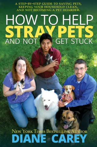 How to Help Stray Pets and Not Get Stuck