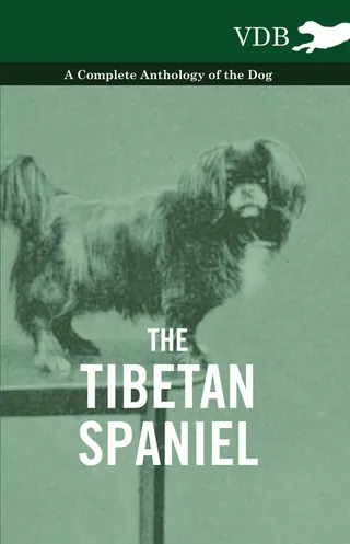 The Tibetan Spaniel