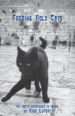 Feeding Holy Cats