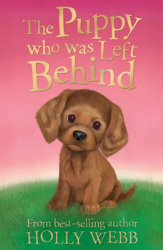 Puppy Who Was Left Behind