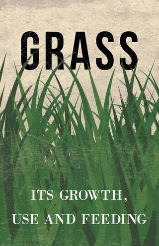 Grass