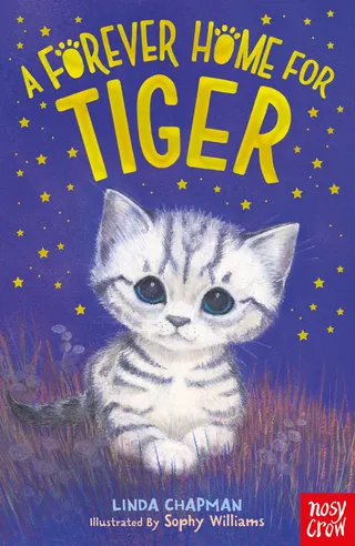 Forever Home for Tiger