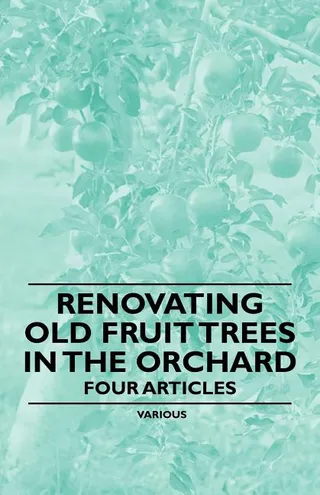 Renovating Old Fruit Trees in the Orchard