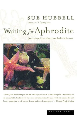 Waiting for Aphrodite