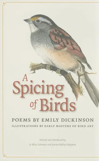 A Spicing of Birds
