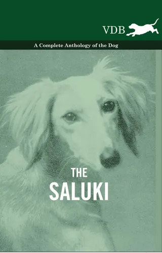 The Saluki