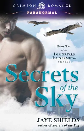 Secrets of the Sky