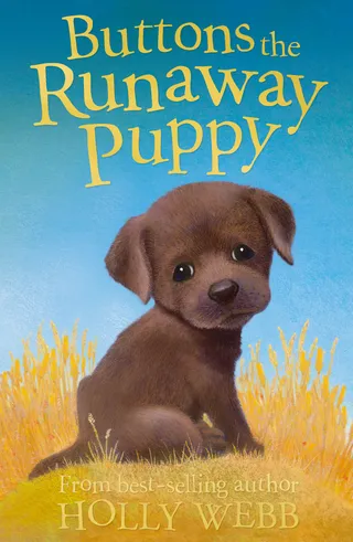 Buttons the Runaway Puppy