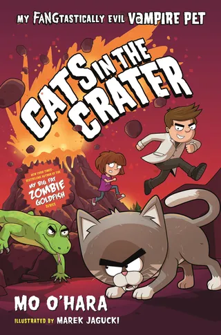 Cats in the Crater