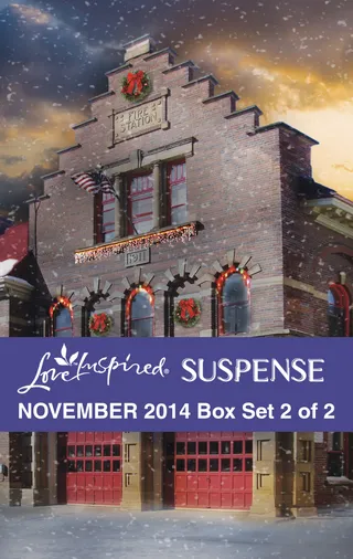Love Inspired November 2014 - Box Set 2 of 2